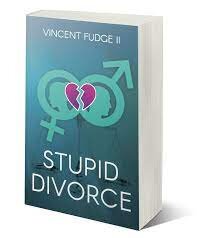 review of stupid divorce