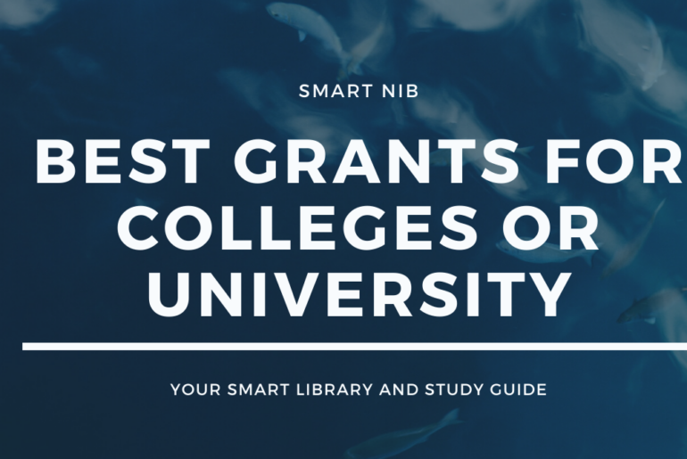 Best Grant For Colleges or University.