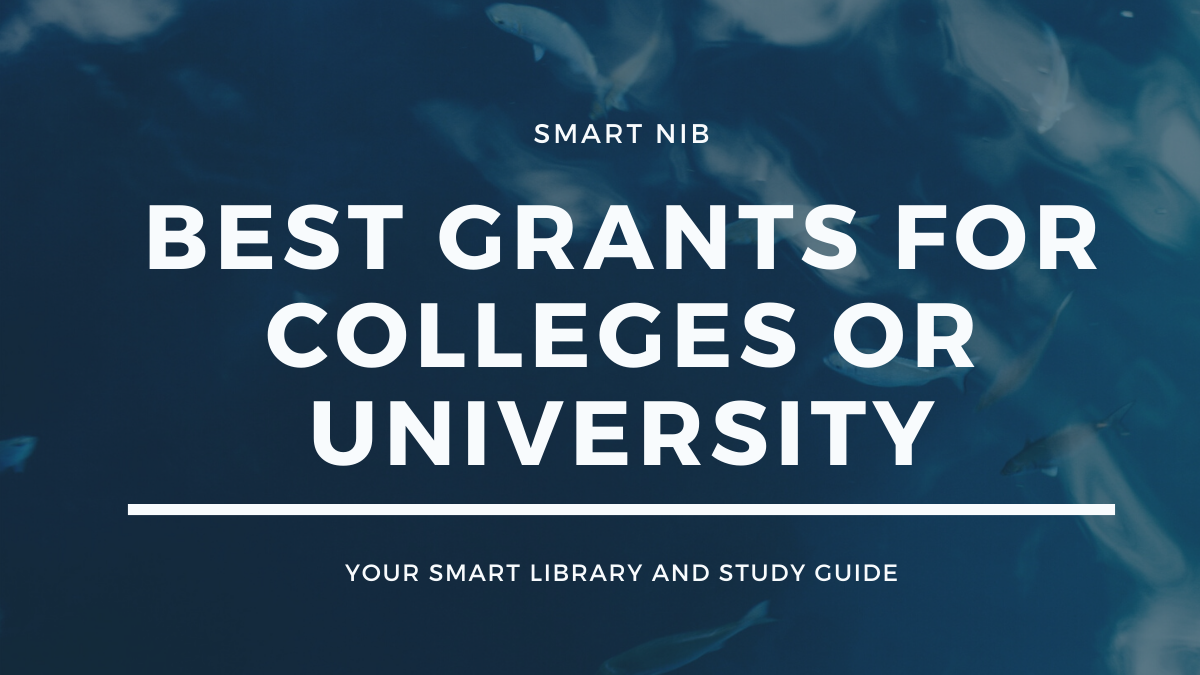 Best Grant For Colleges or University.
