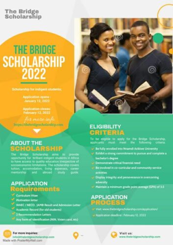 The Bridge Scholarship 2022 - How to Apply.