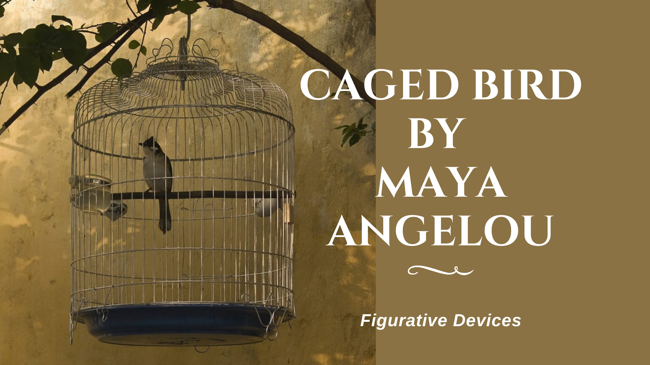 Caged Bird Figurative Devices by Maya Angelou