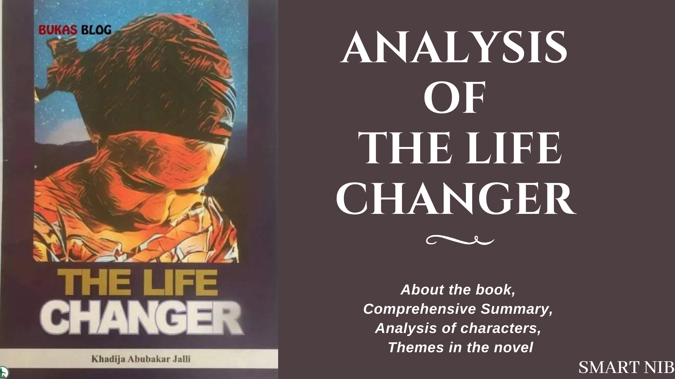 Analysis of The Life Changer JAMB Novel 2022 PDF