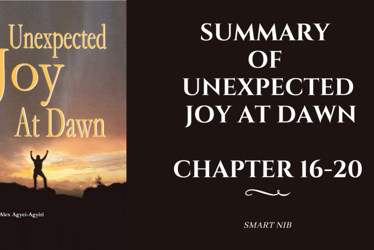 Summary of Unexpected Joy at Dawn Chapter 16-20