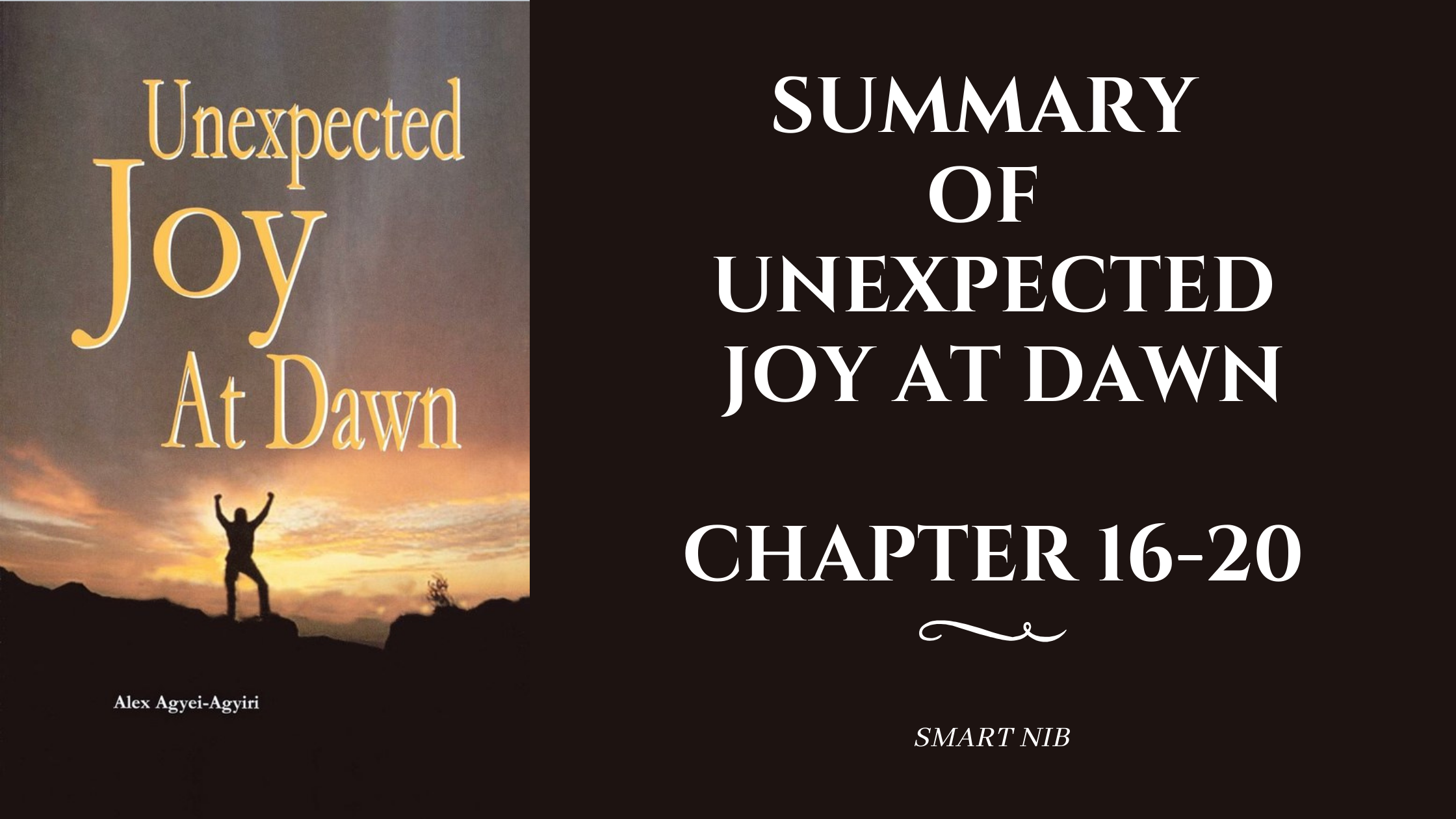 Summary of Unexpected Joy at Dawn Chapter 16-20