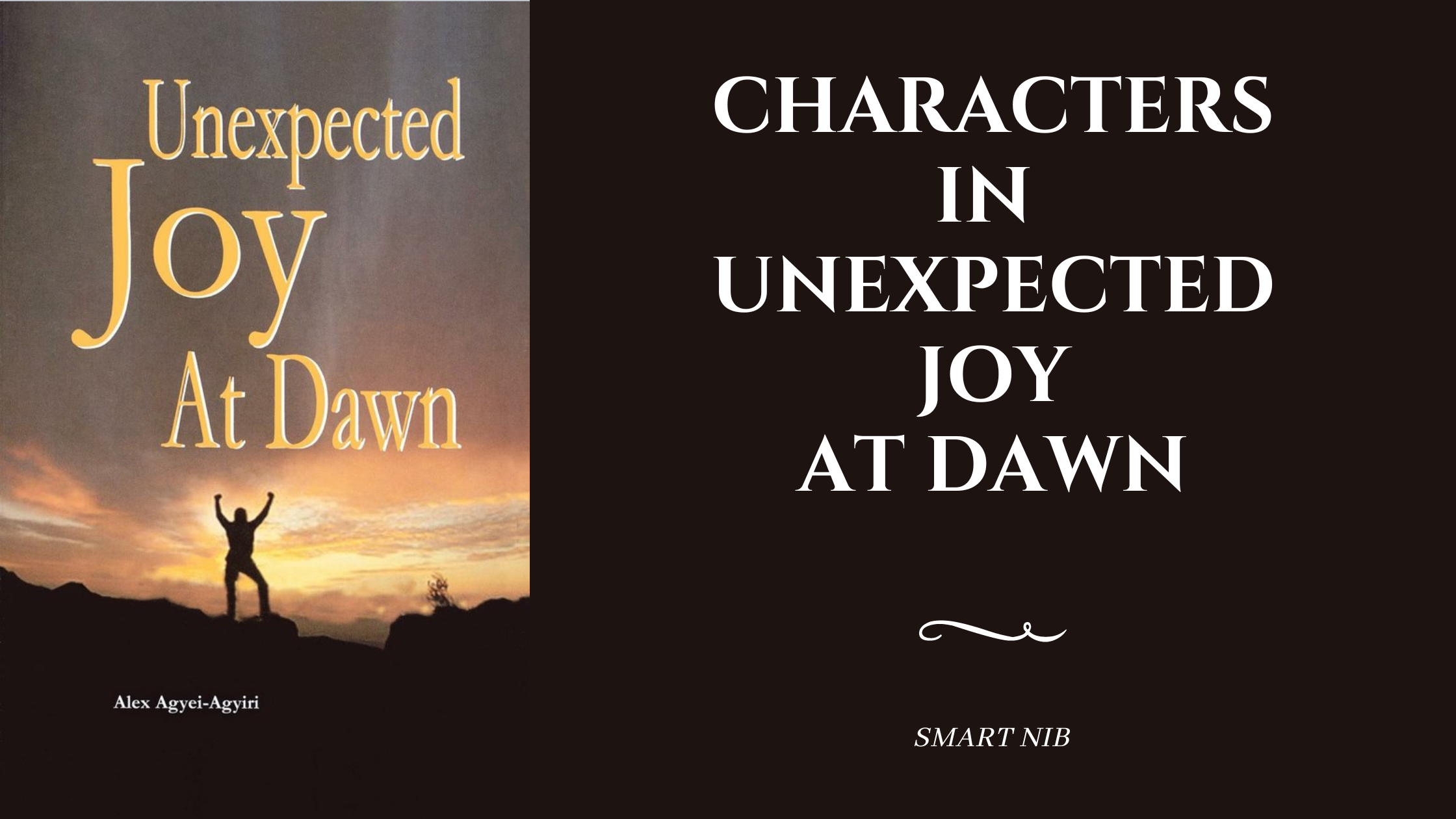 Characters In Unexpected Joy at Dawn By Alex Agyei-Agyiri