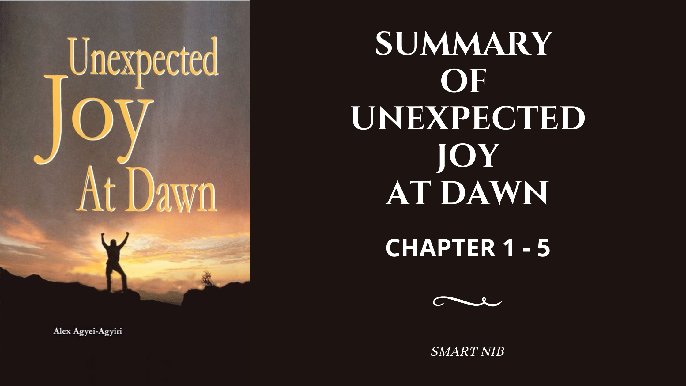Summary of UNEXPECTED JOY AT DAWN By Alex Agyei Agyiri's: Part 1(Chapter 1 to Chapter 5)