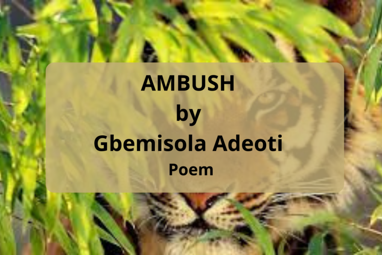 AMBUSH by Gbemisola Adeoti Poem