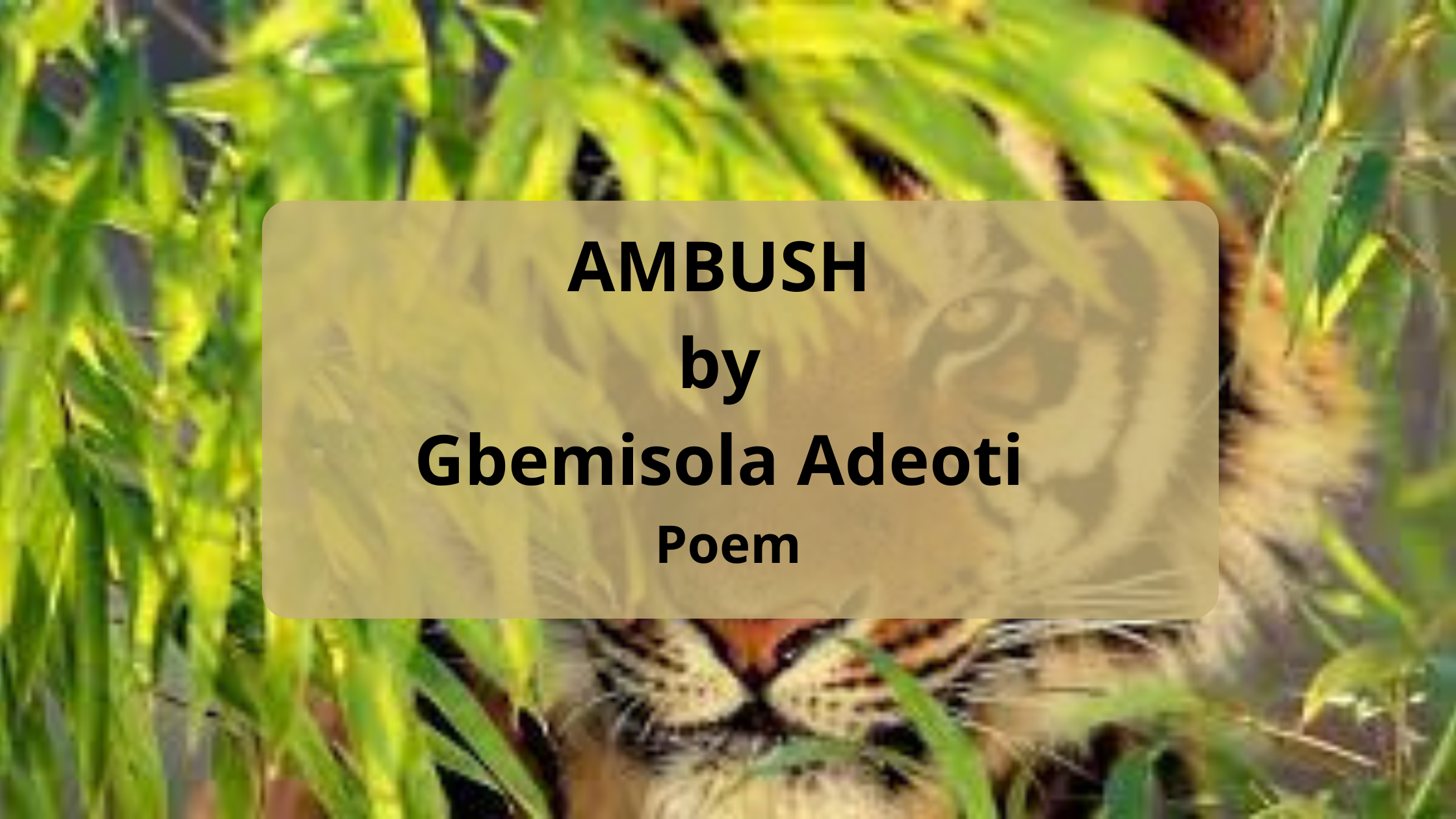 AMBUSH by Gbemisola Adeoti Poem