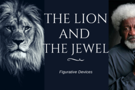 Figurative Devices in The Lion And The Jewel by Wole Soyinka