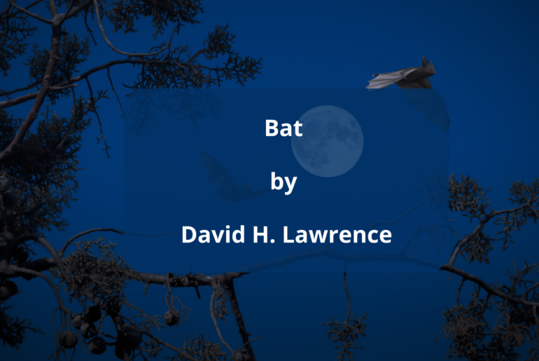 POEM || Bat by David H. Lawrence