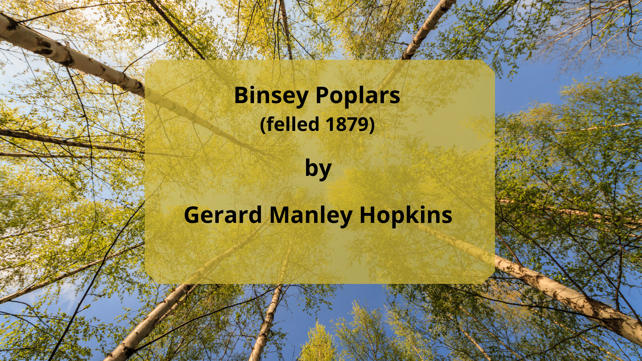 POEM || Binsey Poplars (felled 1879) By Gerard Manley Hopkins